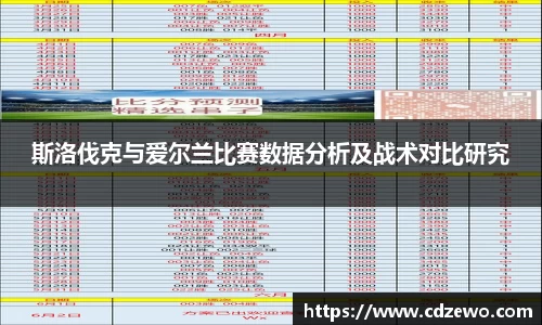 斯洛伐克与爱尔兰比赛数据分析及战术对比研究
